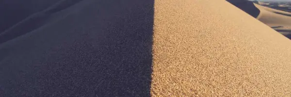 提携サービスへのリンクバナー